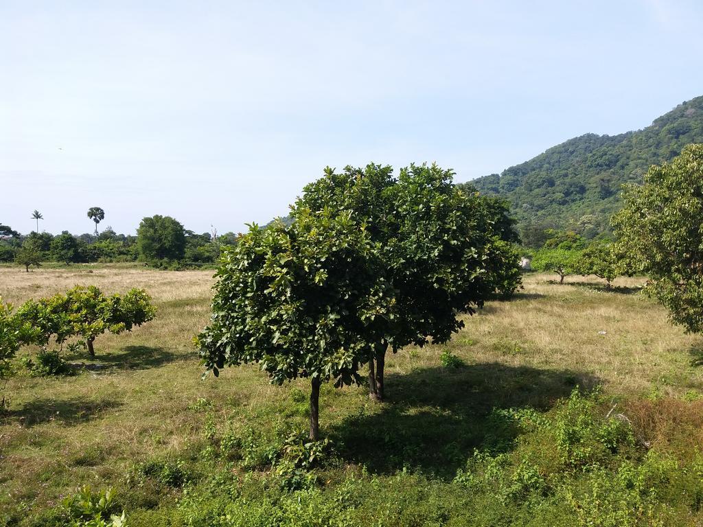 Khmer House Bungalow Kep Ngoại thất bức ảnh